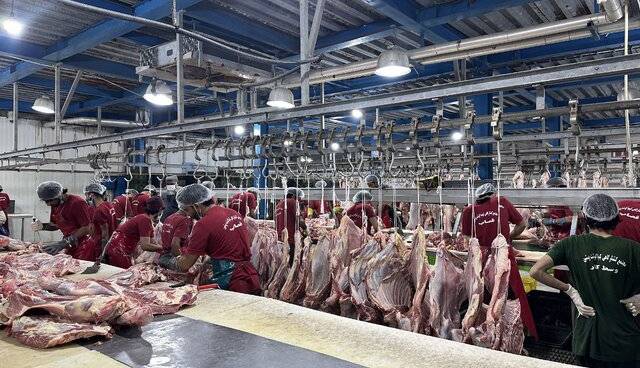 ترخیص ۵۰۰۰ تن فرآورده دامی از مرز میرجاوه سیستان و بلوچستان