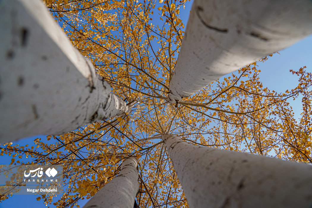 رخ‌نمایی پائیز در لرستان