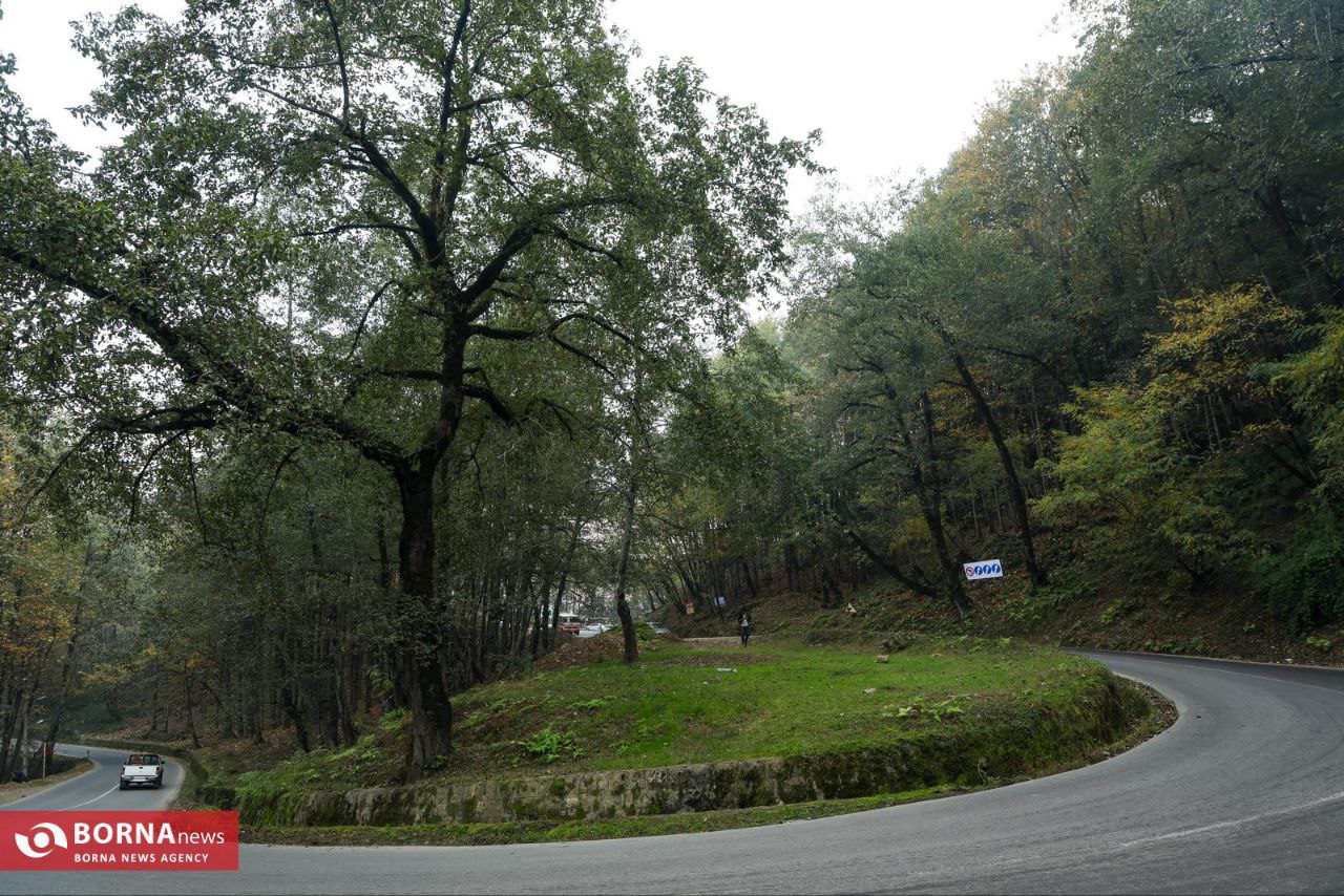 طبیعت زیبای رامسر