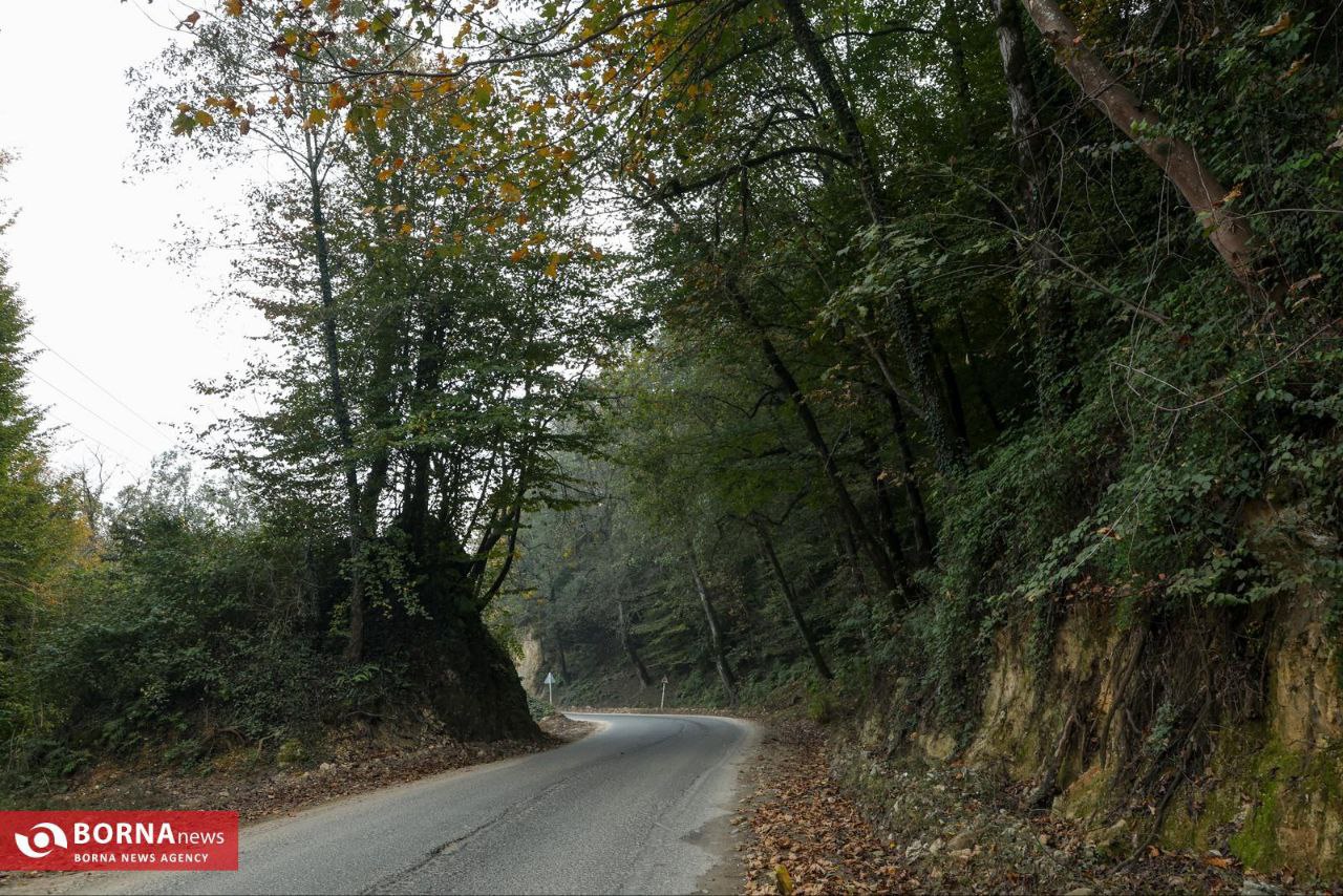 طبیعت زیبای رامسر