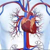  سه موردی که باعث مشکلات قلبی در خانم‌ها می‌شود