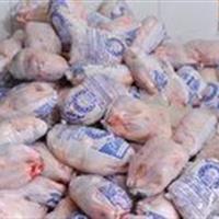 جریمه نقدی دو واحد متخلف عرضه فرآوردههای خام دامی متخلف در شهرستان قائن