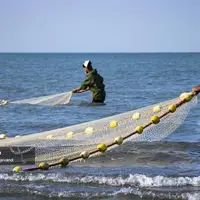 صید ماهی در مازندران