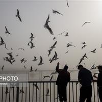 هوا در مناطق مختلف کشور آلوده می‌شود