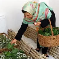 مهمترین مشکل صاحبان مشاغل خانگی چیست؟