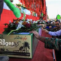 «امیرحسین» و دلدادگی به هشت لاله بی‌نام