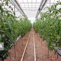 ایجاد خوشه‌های پیشران اقتصادی در هشت شهرستان سمنان