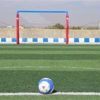 احداث ۱۰۰ زمین چمن مصنوعی در مدارس استثنایی با مشارکت خیرین مدرسهساز