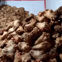 دومین محموله بزرگ کله‌پاچه غیربهداشتی در اصفهان کشف شد