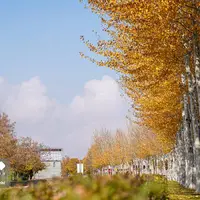 رخ‌نمایی پائیز در لرستان