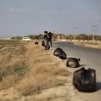 پویش ملی پاکسازی زباله از محیط‌زیست در قزوین آغاز شد