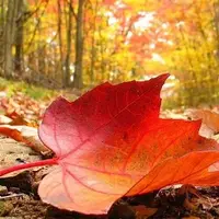 تداوم هوای نسبتا سرد صبحگاهی همدان در روزهای آینده