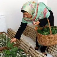 مهم‌ترین مشکل صاحبان مشاغل خانگی