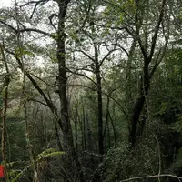 طبیعت زیبای رامسر