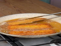 شنیسل مرغ خونگی