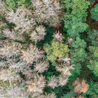 ارائه نخستین تحلیل از تعامل شدت و مدت خشکسالی و تأثیر آن بر کارکرد اکوسیستم‌ها