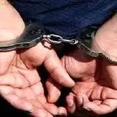 دستگیری قاچاقچی چوب در چمستان نور