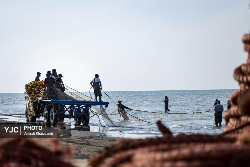صید ماهی در مازندران