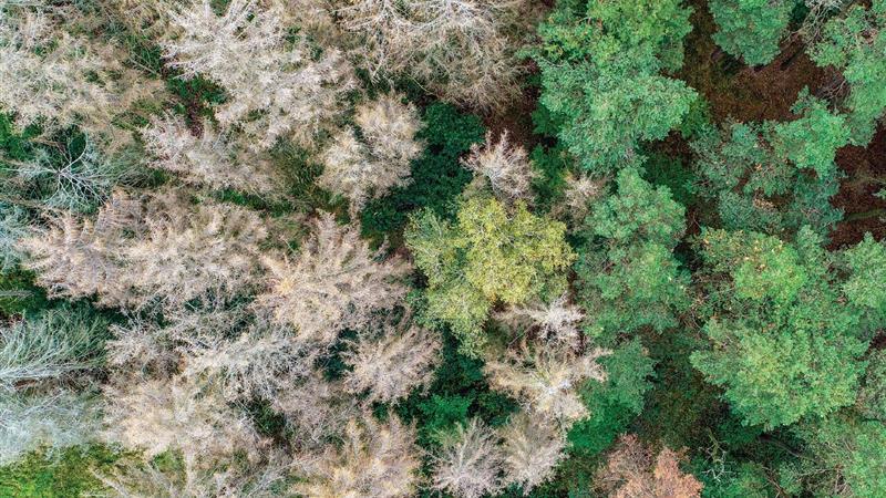 ارائه نخستین تحلیل از تعامل شدت و مدت خشکسالی و تأثیر آن بر کارکرد اکوسیستم‌ها