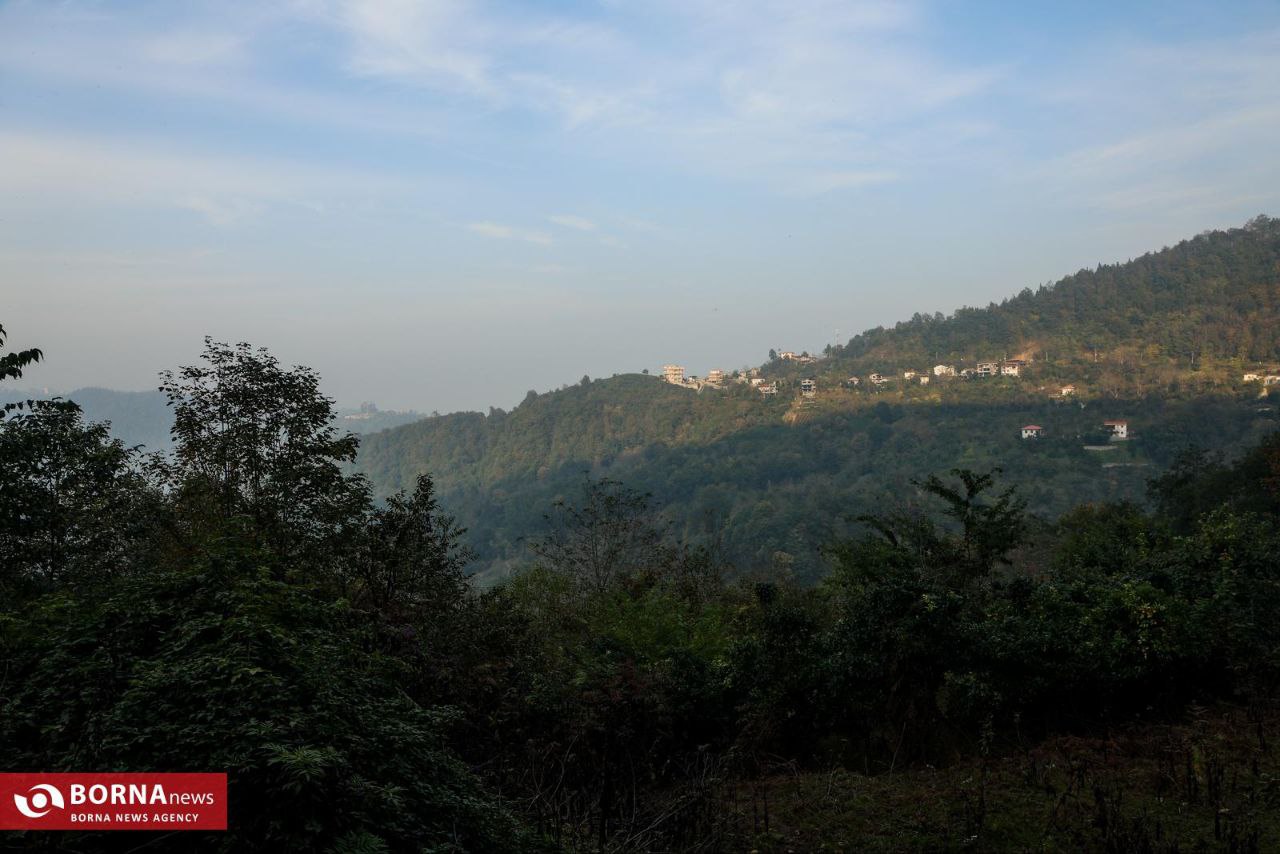 طبیعت زیبای رامسر