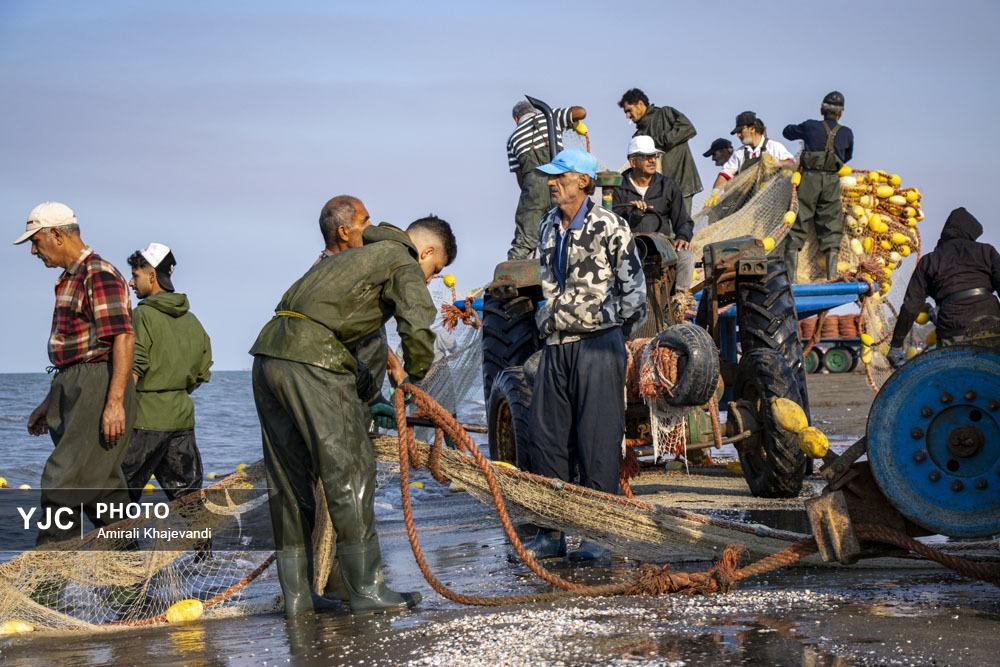 صید ماهی در مازندران