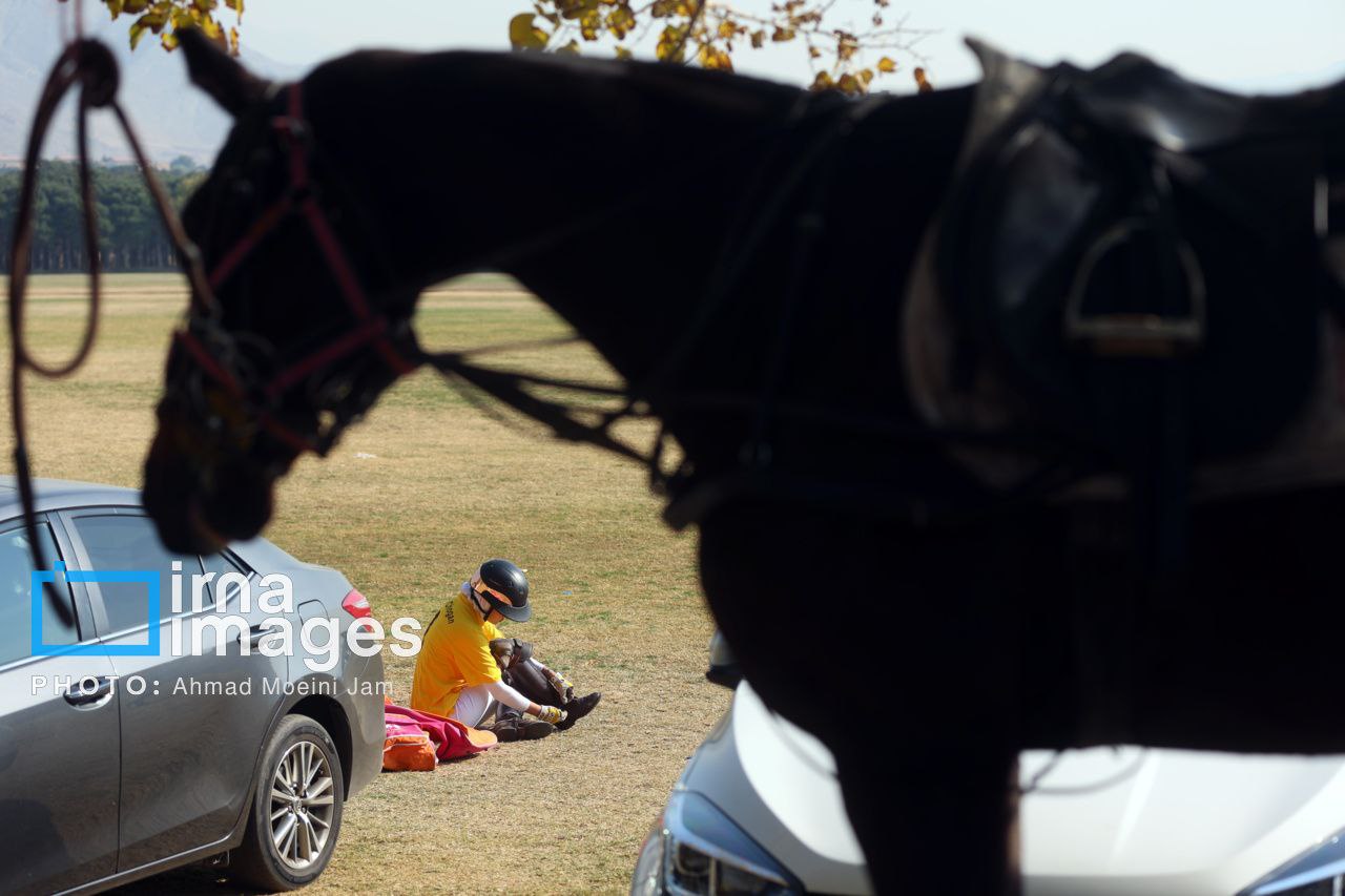  ​​​​​​​لیگ ملی چوگان زنان «جام نرگس»