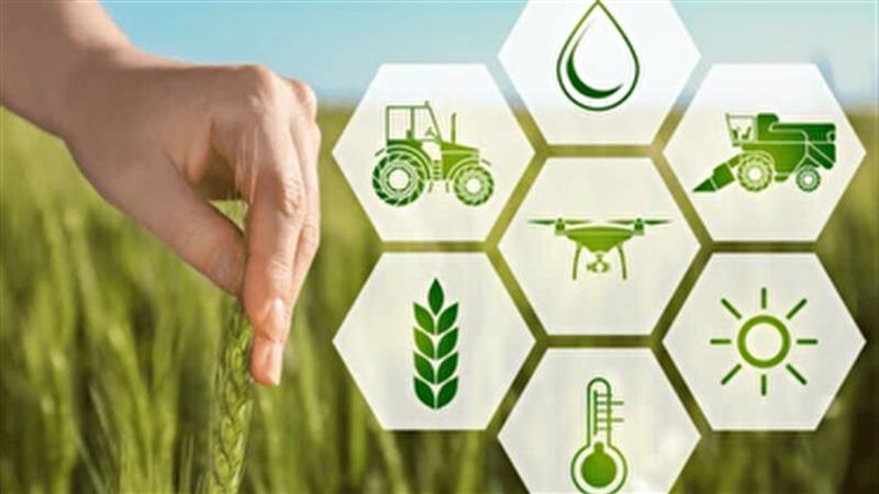 آغاز طرح ملی شناسنامه‌دار کردن محصولات کشاورزی در یزد