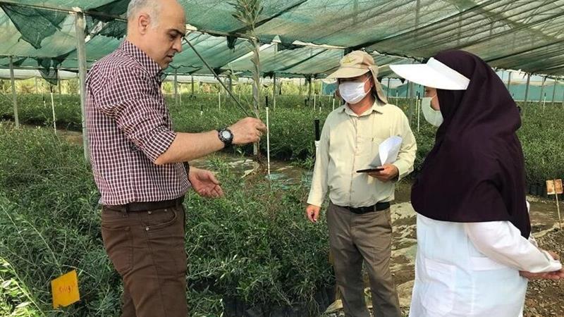 پیوند آموزشهای فنی و حرفهای با توسعه کشاورزی در پارسآباد مغان