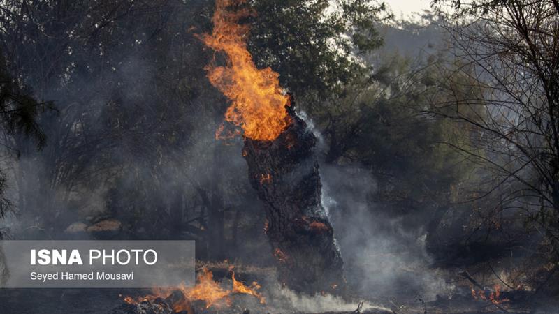 آتش منطقه الیت کمتر از ۸ هکتار شده است