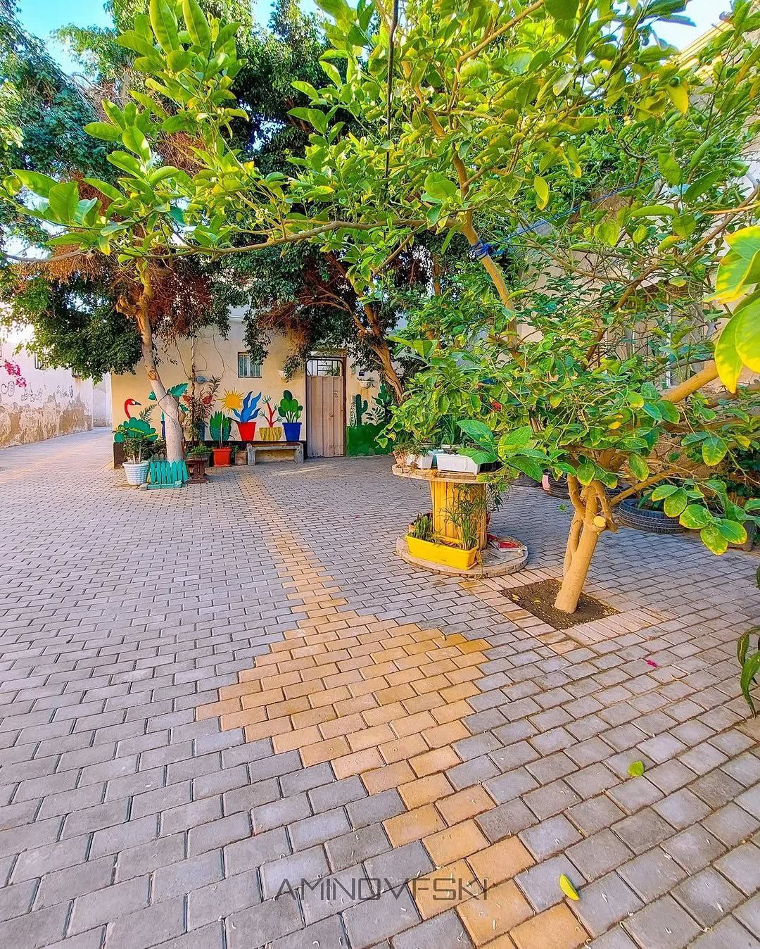  بوشهر؛ جواهری در سواحل ماسه‌ای خلیج فارس