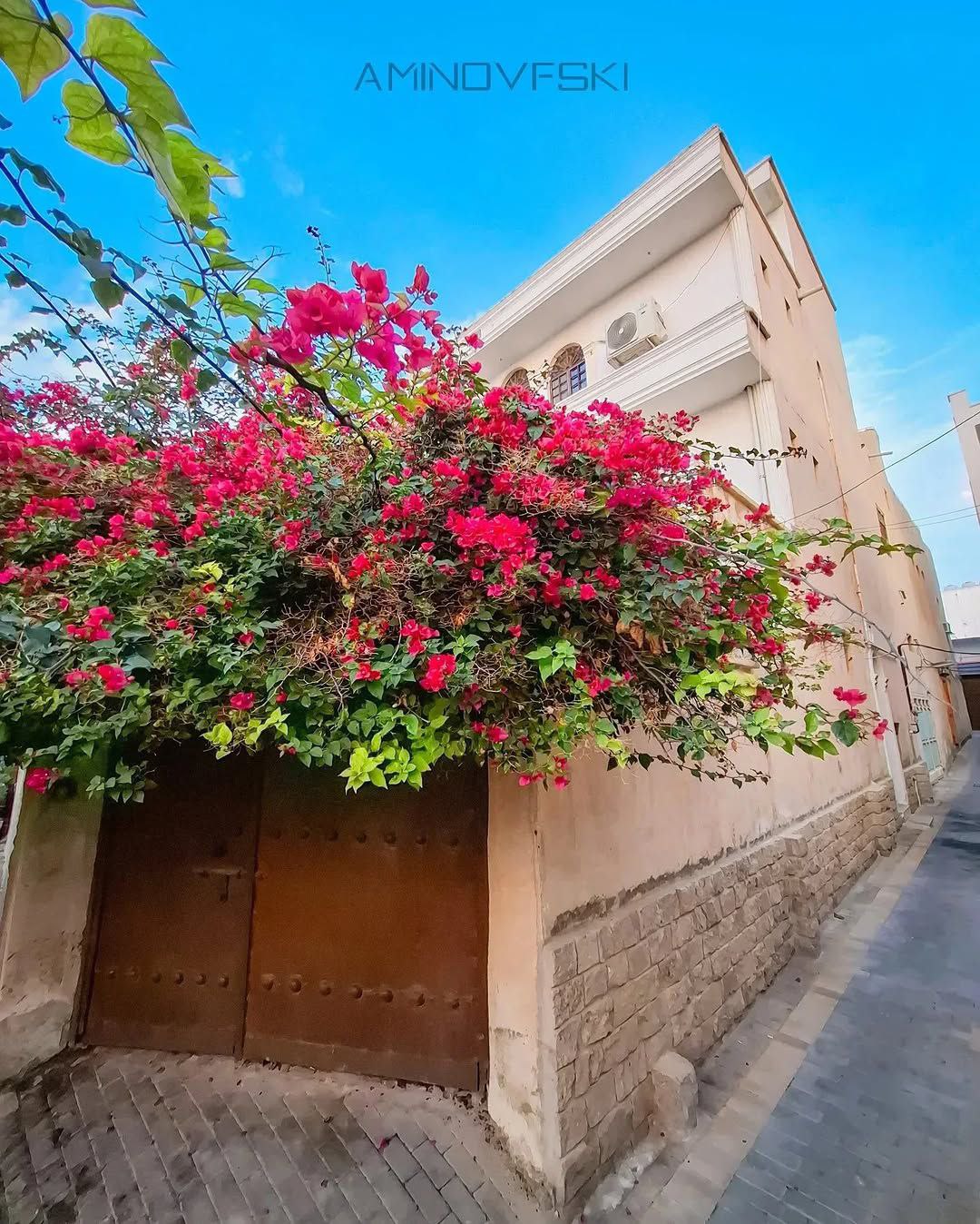  بوشهر؛ جواهری در سواحل ماسه‌ای خلیج فارس