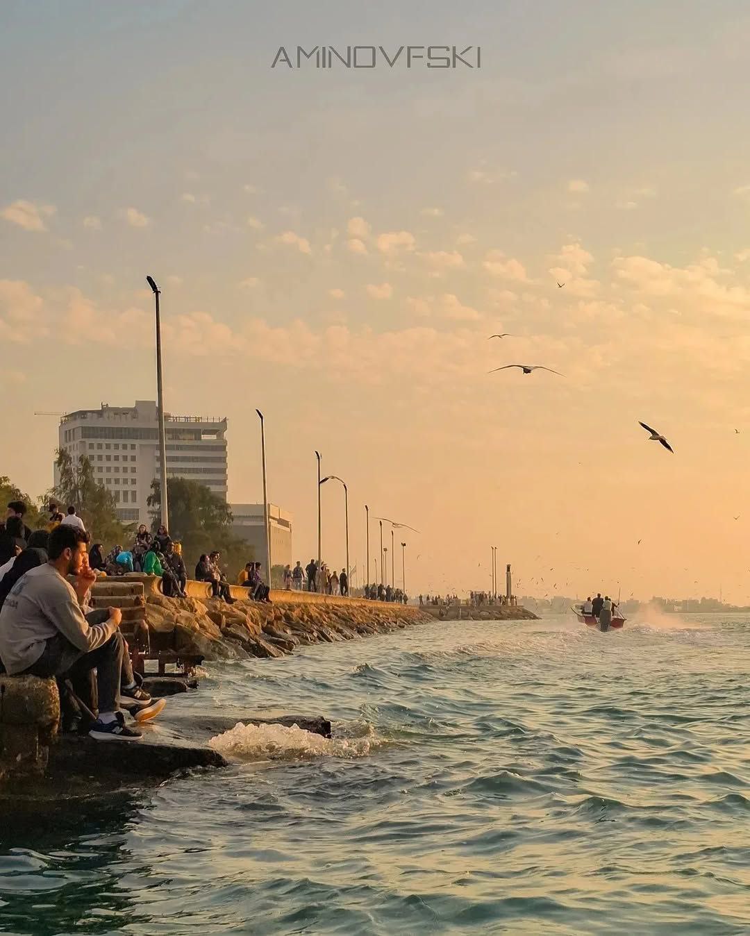  بوشهر؛ جواهری در سواحل ماسه‌ای خلیج فارس