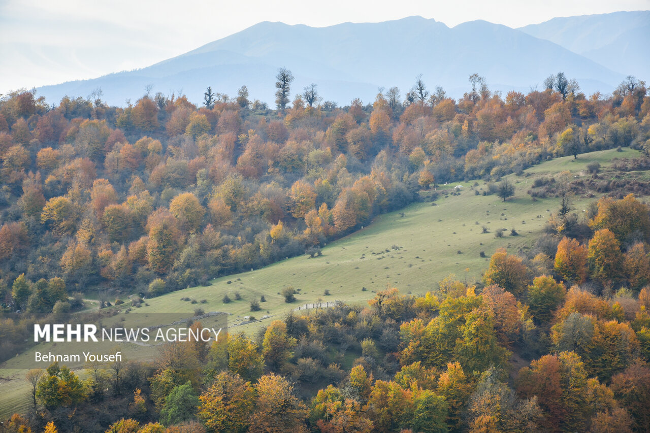 زیبایی جنگل های پاییزی مازندران