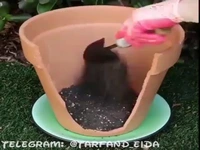 ببین با یک گلدون شکسته چی درست میکنه!