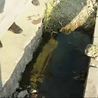 هدررفت روزانه هزاران لیتر آب در بزرگراه آزادگان