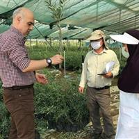 پیوند آموزشهای فنی و حرفهای با توسعه کشاورزی در پارسآباد مغان