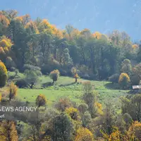 زیبایی جنگل های پاییزی مازندران