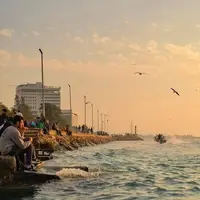  بوشهر؛ جواهری در سواحل ماسه‌ای خلیج فارس