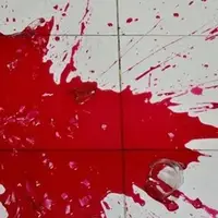 سلاح غیر مجاز پدر، خانواده قاتل جانش شد