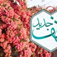 ثبت پنج وقف جدید در ایام فاطمیه در شهرستان قاینات