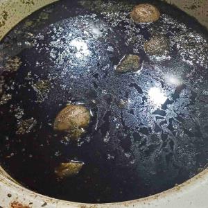 قرمه سبزی جا افتاده با آب قلم