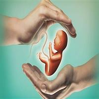 انجماد بافت تخمدان؛ راهی برای حفظ باروری زنان مبتلا به سرطان