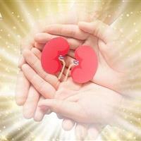 اهدای اعضای حیاتی یک نوجوان قمی دچار مرگ مغزی