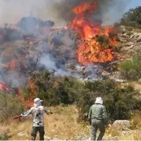 آتش دوباره به جان جنگل‌های چالوس افتاد