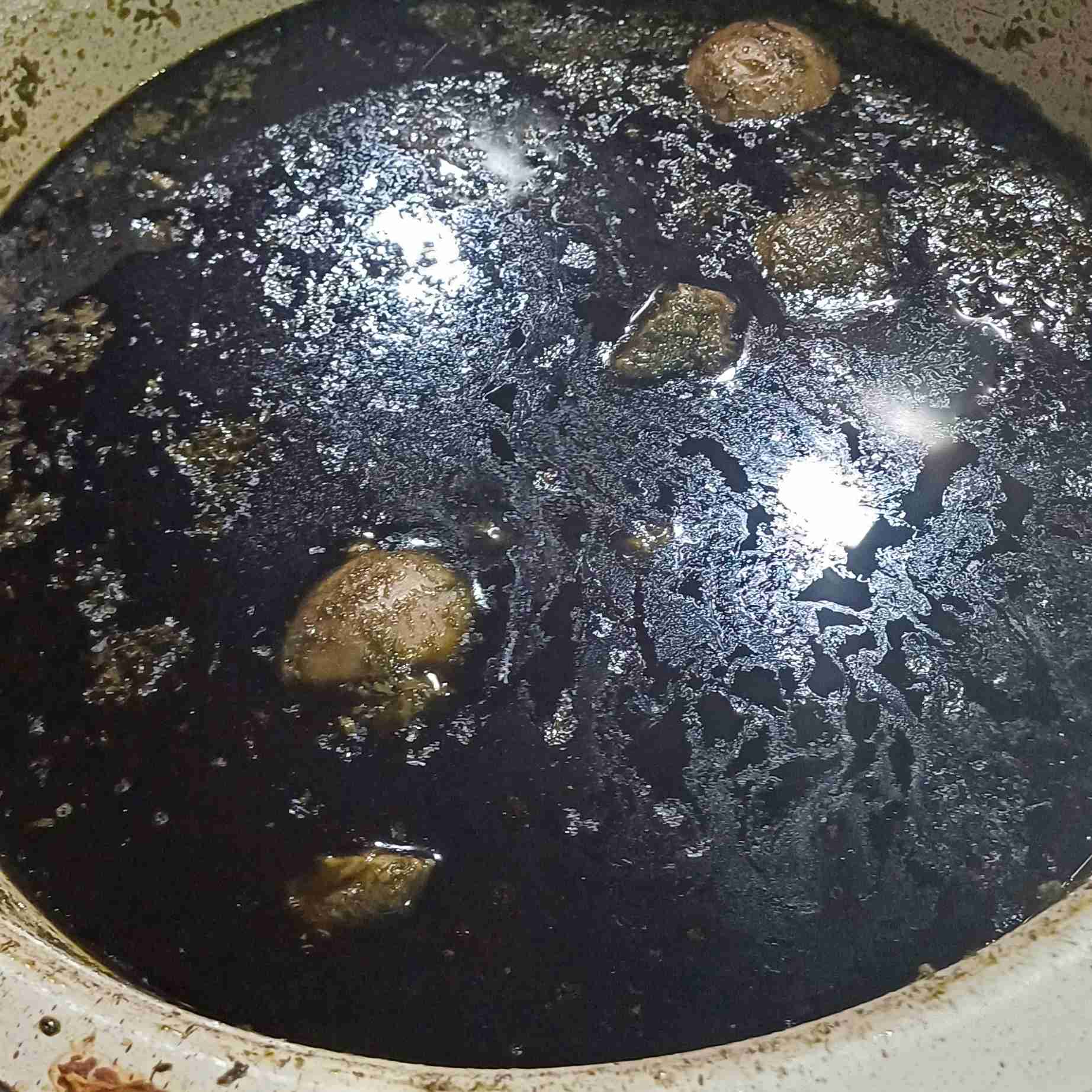 قرمه سبزی جا افتاده با آب قلم