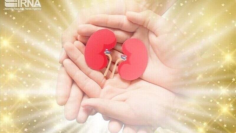 اهدای اعضای حیاتی یک نوجوان قمی دچار مرگ مغزی