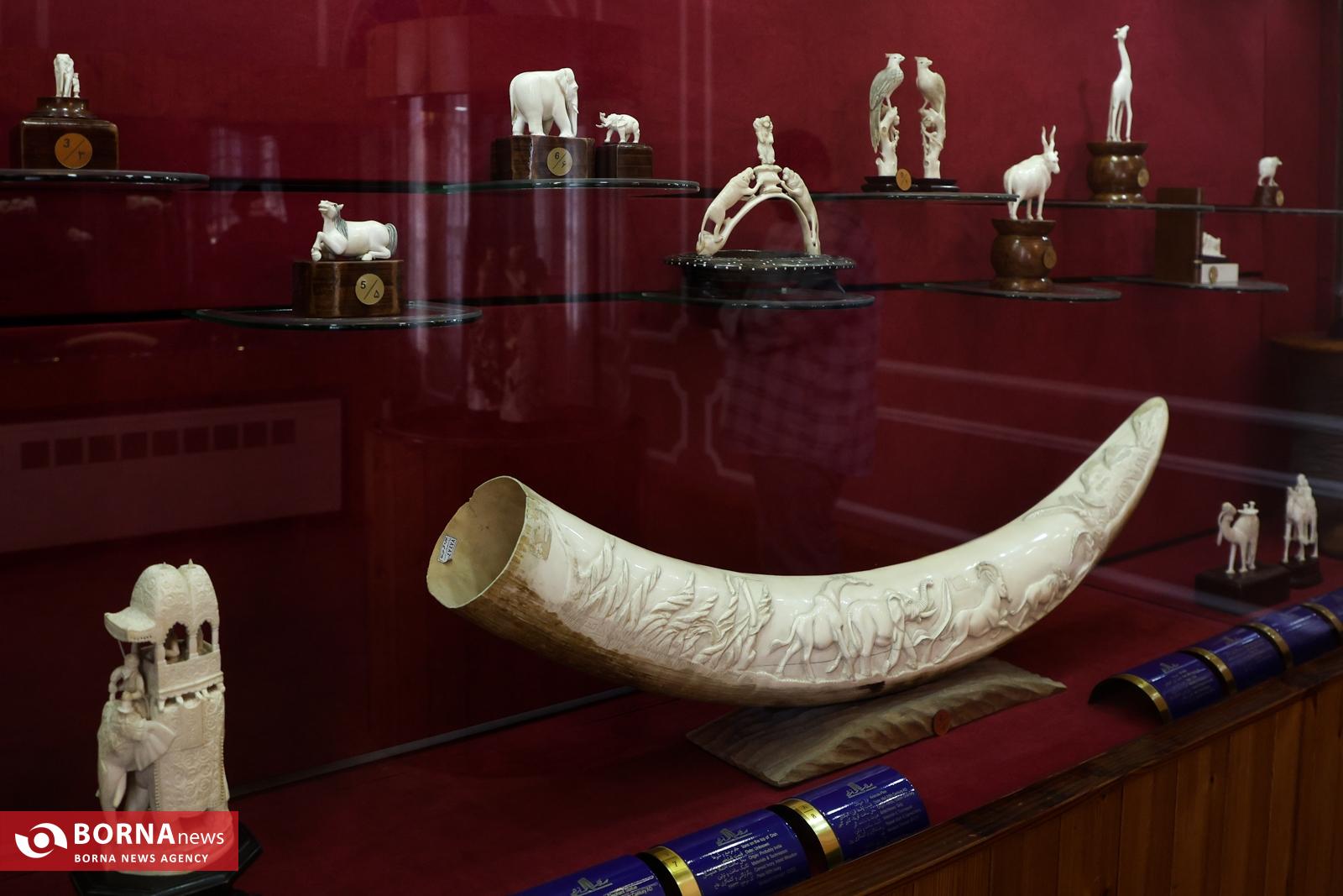 پردیس موزه ای رامسر