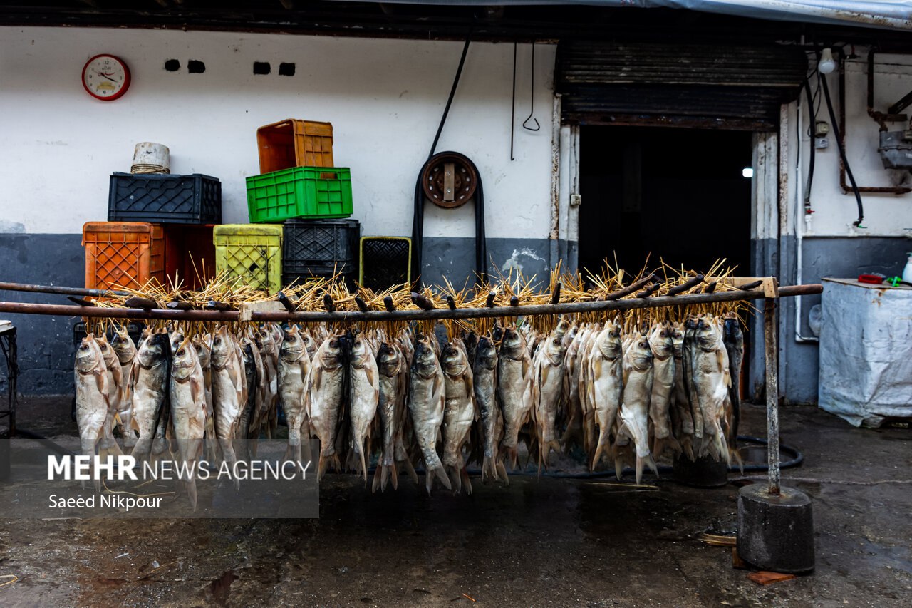 سنت دودی کردن ماهی در گیلان