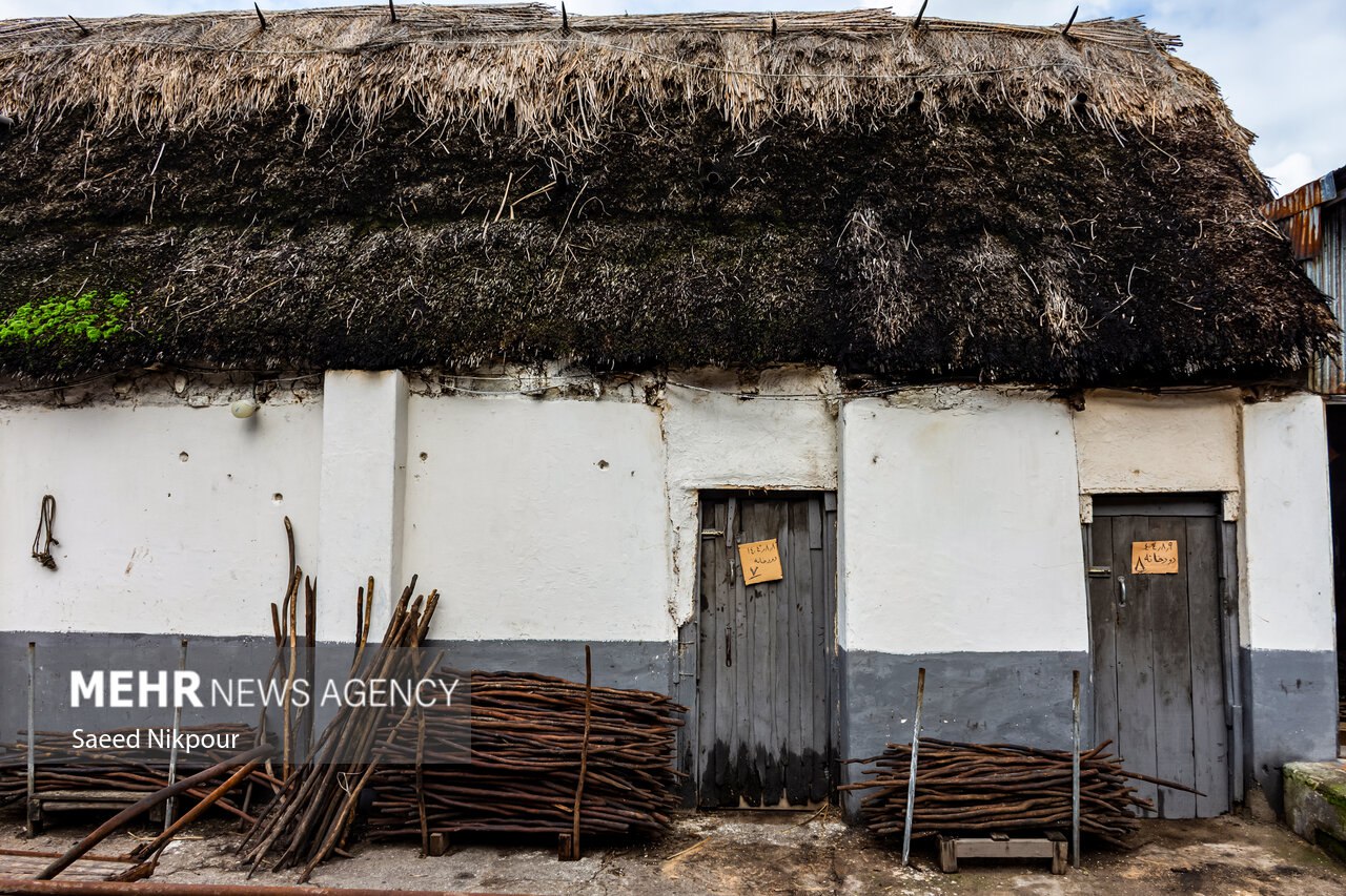 سنت دودی کردن ماهی در گیلان