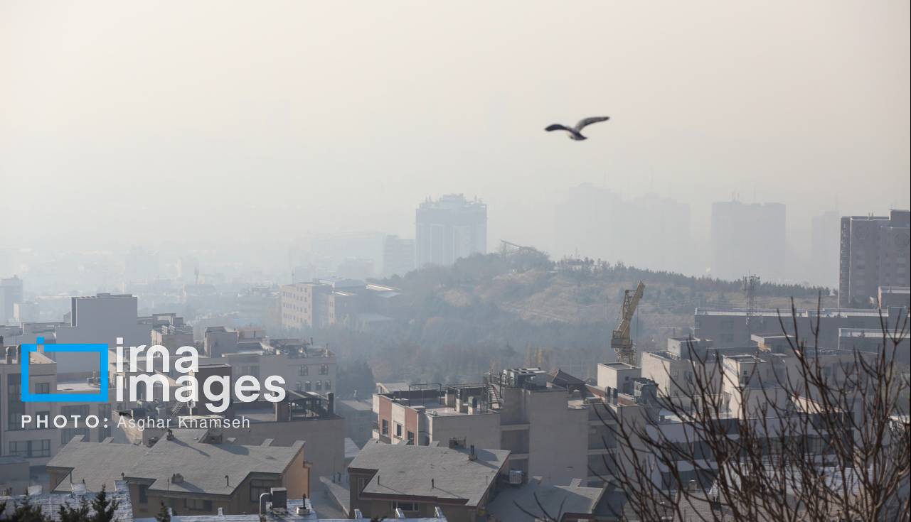 مهدهای کودک استان تهران تا آخر هفته تعطیل شد